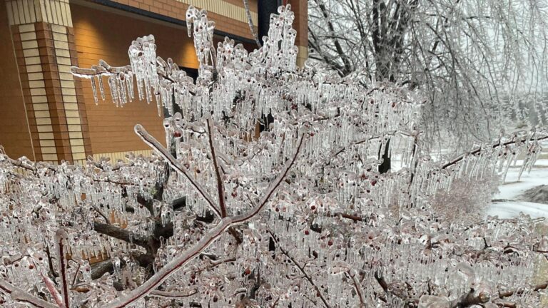 3 killed when tree hits vehicle and damage reported in Tennessee amid storms
