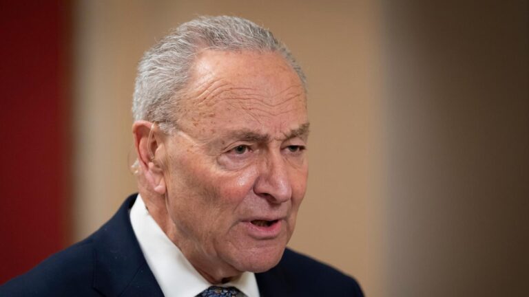 Schumer says he won't step down as Senate Democratic leader despite government funding uproar