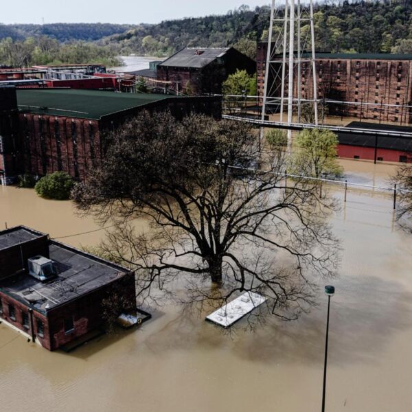 Inspections of affected barrels will take time as…