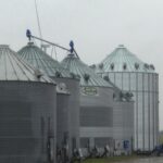 Ranchers hope Trump tariffs boost demand for cattle but some fear market uncertainty