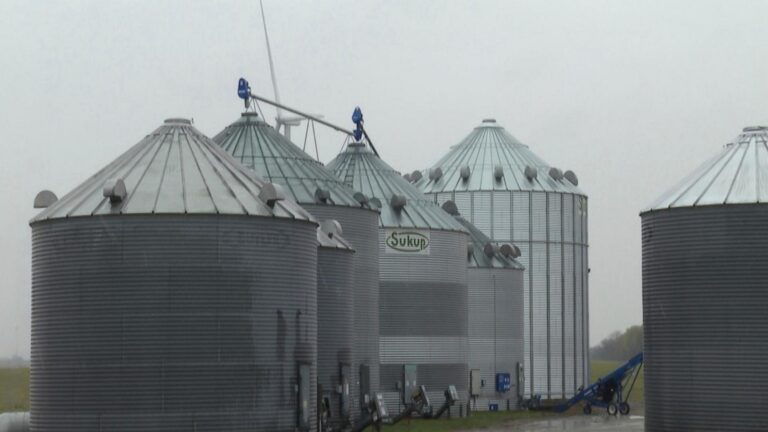 Ranchers hope Trump tariffs boost demand for cattle but some fear market uncertainty