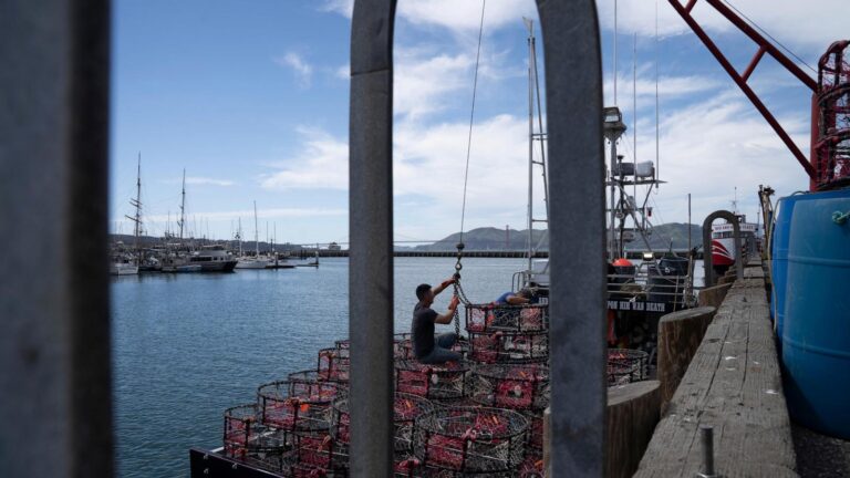 New gear could keep California crab fishermen on the water longer, and whales safe