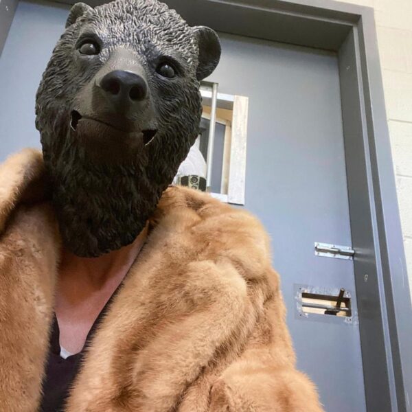 Orphaned cub finds comfort in a teddy bear&hellip;