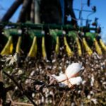 Federal officials set timeline for Helene aid to farmers as Georgia enacts tax breaks