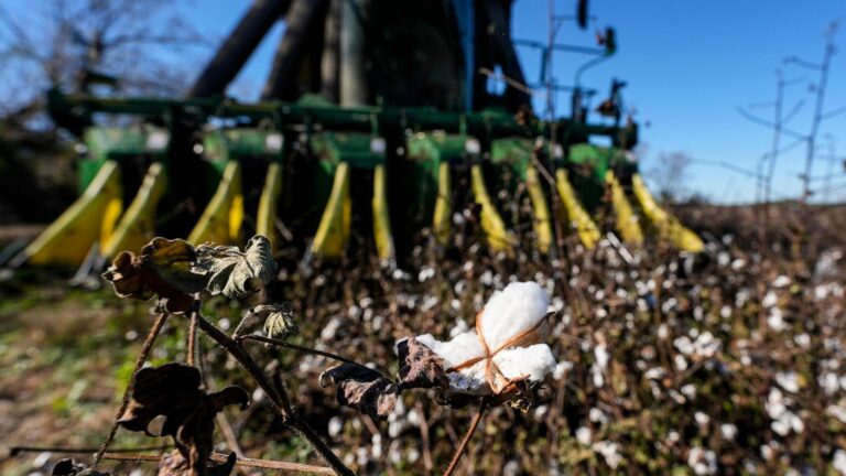 Federal officials set timeline for Helene aid to farmers as Georgia enacts tax breaks