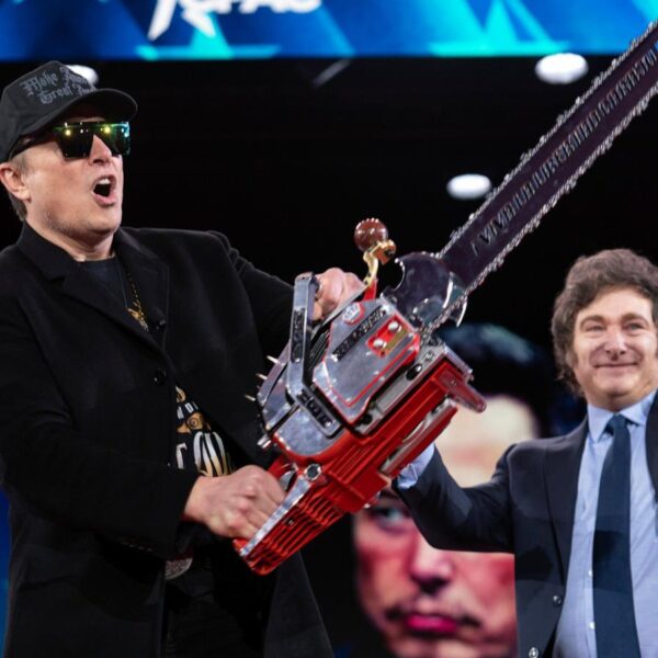 Elon Musk came to Washington wielding a chain…