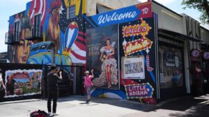 Wild chickens take over Miami while some embrace&hellip;