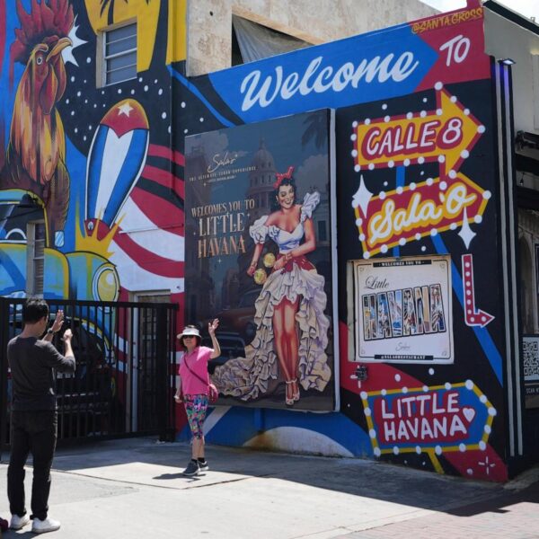 Wild chickens take over Miami while some embrace…