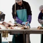 Trump administration promises Illinois it will pay to keep carp out of the Great Lakes