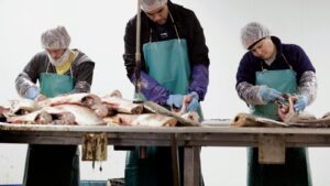 Trump administration promises Illinois it will pay to&hellip;