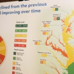 Chesapeake Bay health grade dips after hottest year on record and extreme rainfall patterns