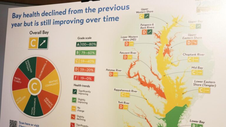 Chesapeake Bay health grade dips after hottest year on record and extreme rainfall patterns