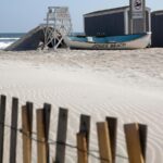 Officials believe young shark bit a woman at a New York beach