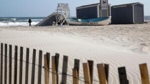 Officials believe young shark bit a woman at…