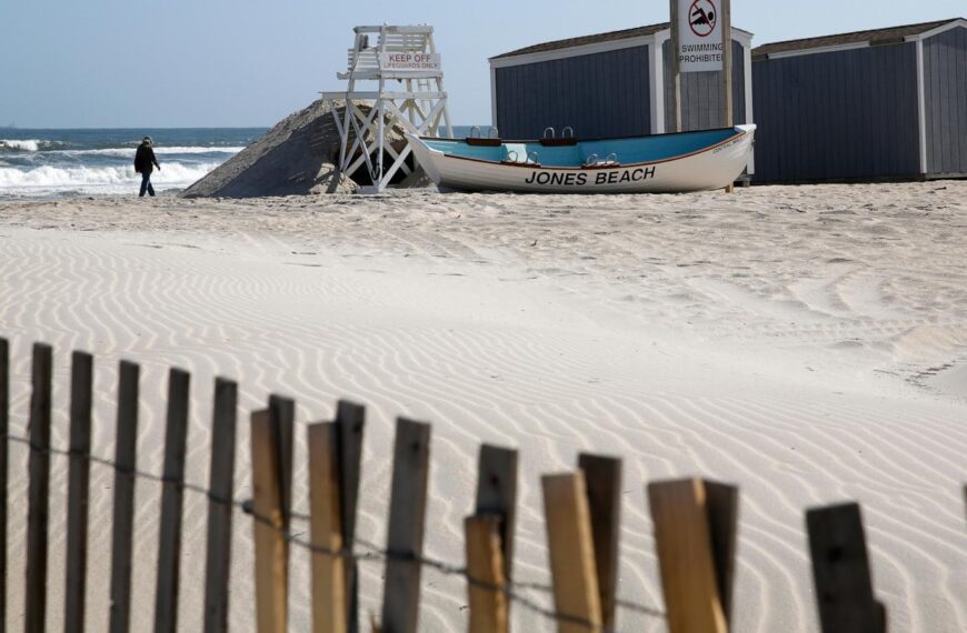 Officials believe young shark bit a woman at a New York beach