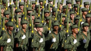 US military parade has global counterparts in democracies,&hellip;