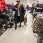 How to prepare your pets for when a hurricane makes it rain cats and dogs