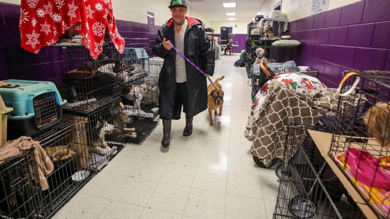 How to prepare your pets for when a hurricane makes it rain cats and dogs