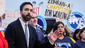 Young Democrats have called for a rebrand. They’re…