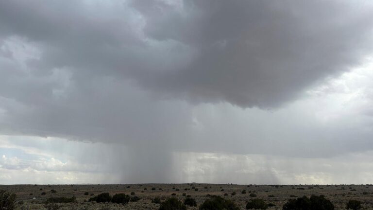 Monsoon season brings the promise of rain for the arid southwestern US