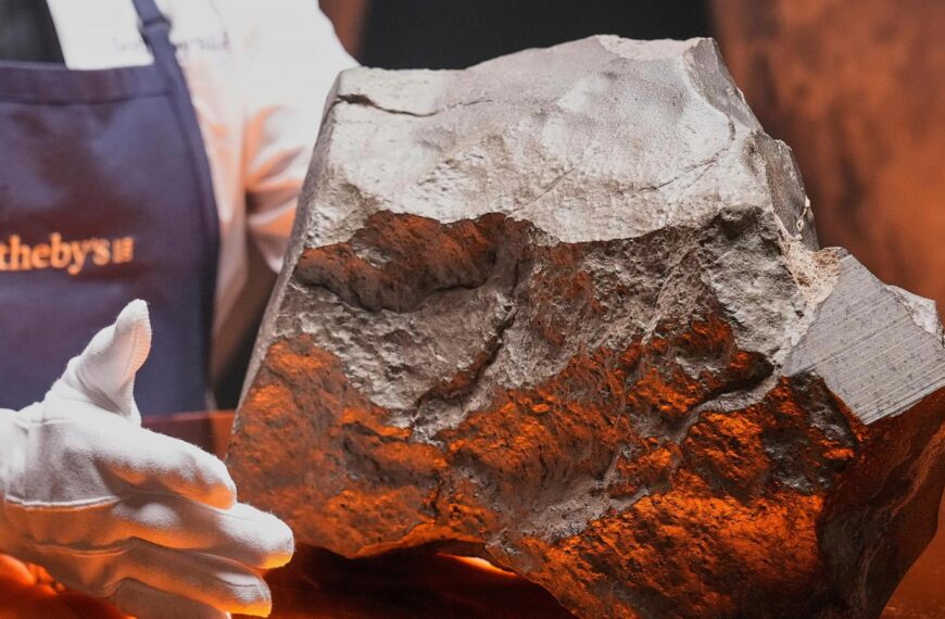 The biggest piece of Mars on Earth is going up for auction in New York