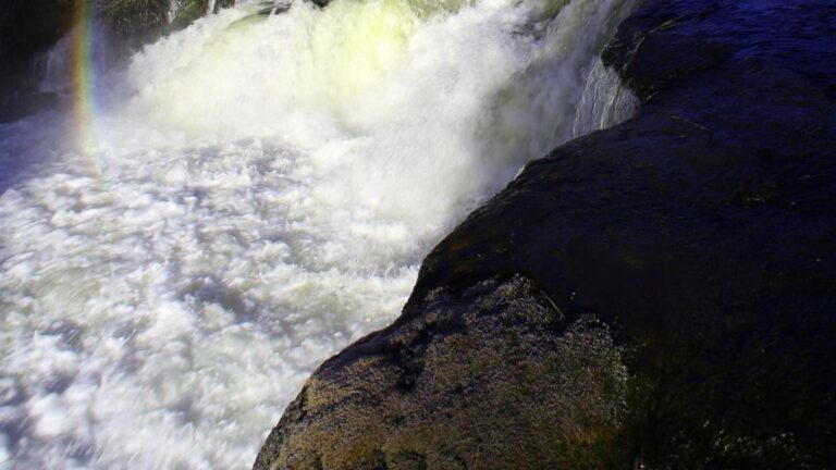1 killed and 2 missing after a group is swept over an Oregon waterfall