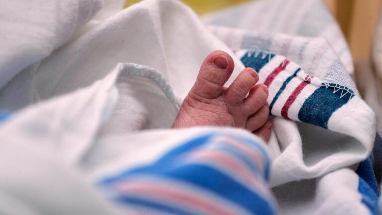 The US fertility rate reached a new low in 2024, CDC data shows