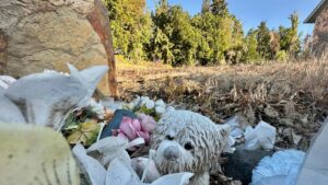 Bryan Kohberger is due to appear in court…