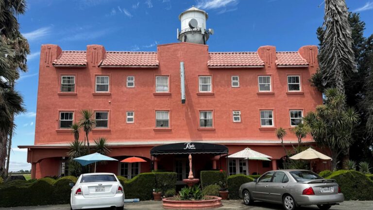 Dozens of peacocks and peahens go missing from Northern California hotel