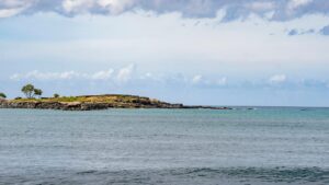 Early Hawaiian petroglyphs on a beach are visible…