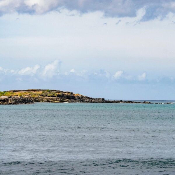 Early Hawaiian petroglyphs on a beach are visible…