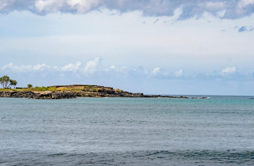 Early Hawaiian petroglyphs on a beach are visible…