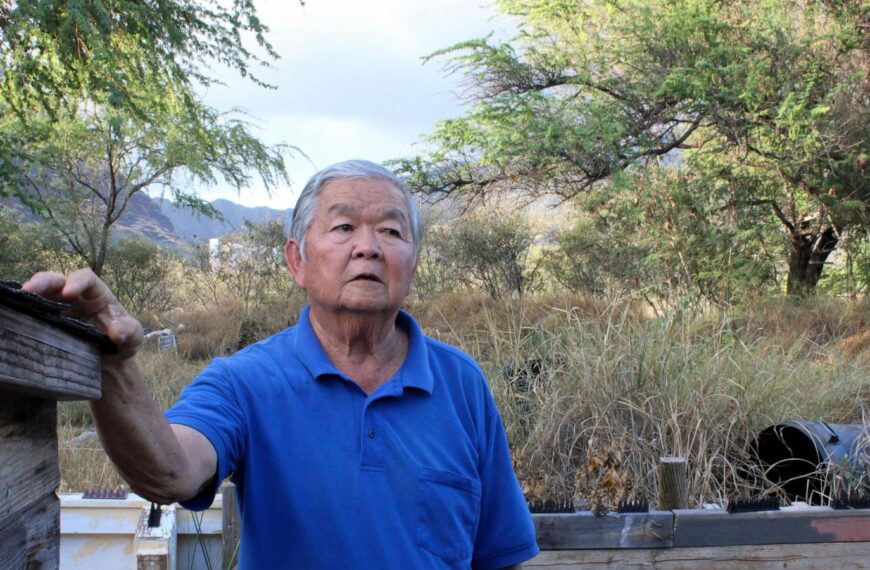 Could this Hawaii community be the next Lahaina? Some residents fear a similar wildfire fate