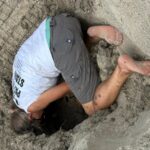 Hurricane Erin never hit land or caused major damage, but endangered turtle nests weren’t so lucky