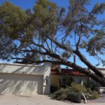 Towering wall of dust rolls through metro Phoenix