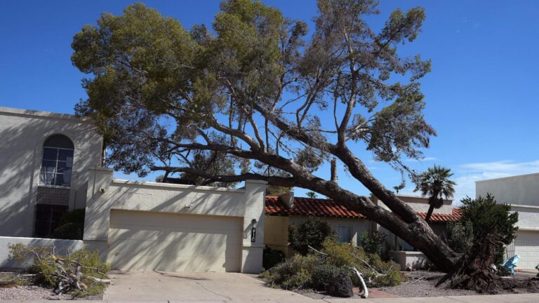 Towering wall of dust rolls through metro Phoenix