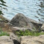 Amish woman accused of killing 4-year-old son by throwing him into Ohio lake