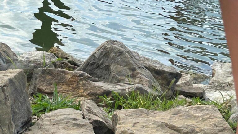 Amish woman accused of killing 4-year-old son by throwing him into Ohio lake