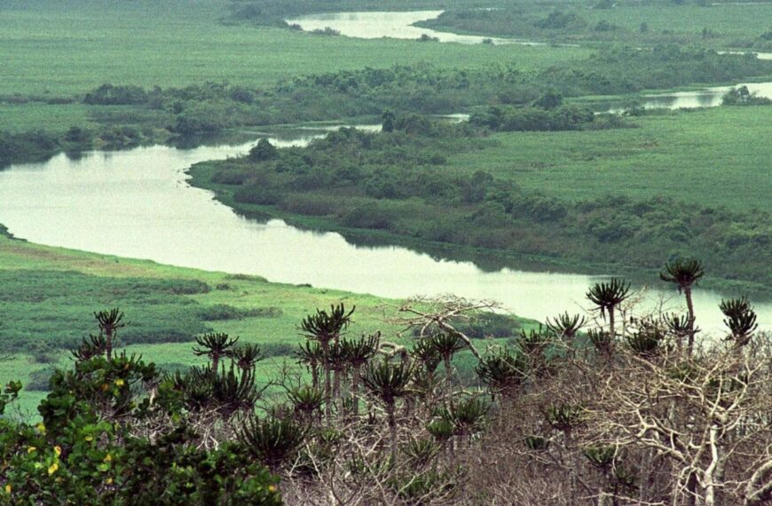 UNESCO designates 26 new biosphere reserves amid biodiversity challenges and climate change