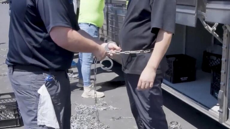 Families in crisis after massive immigration raid at Hyundai plant in Georgia