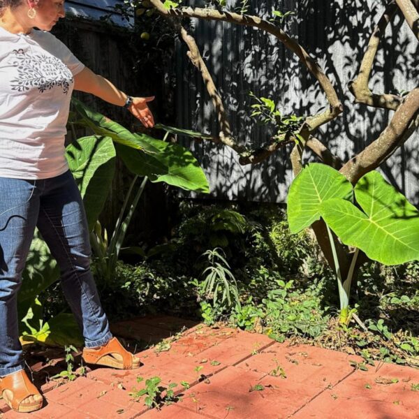 Long-lost ancient Roman artifact reappears in a New&hellip;