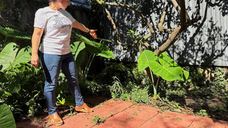 Long-lost ancient Roman artifact reappears in a New Orleans backyard