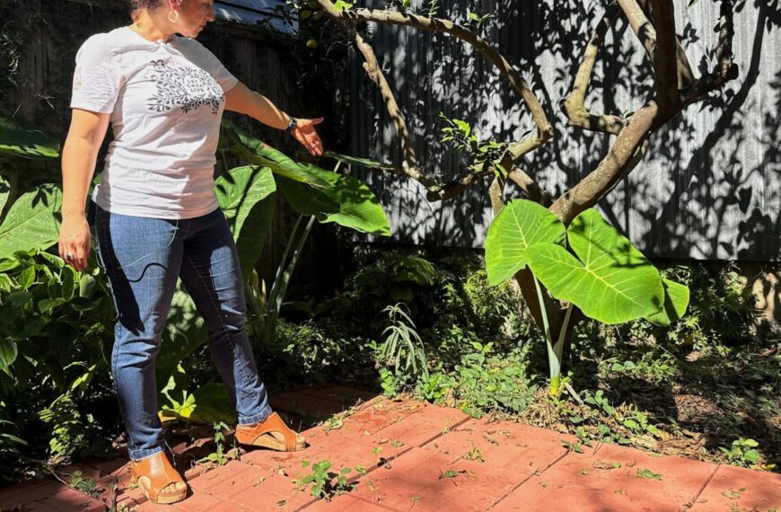 Long-lost ancient Roman artifact reappears in a New Orleans backyard