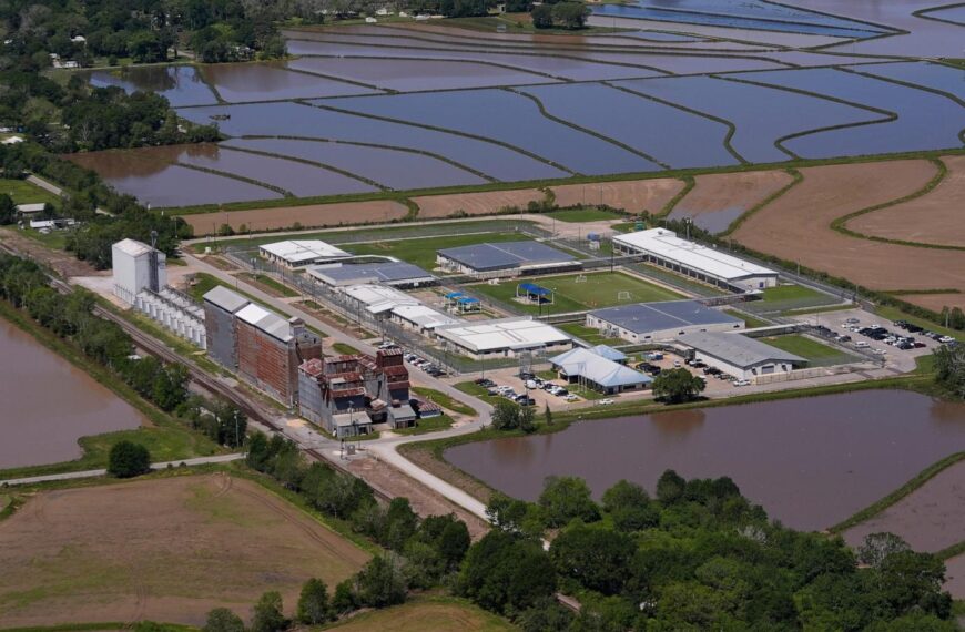 Immigrant rights group calls for removing pregnant women from detention