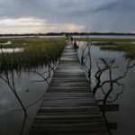 EPA moves to limit scope of clean water law to reduce amount of wetlands it covers