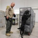 Big changes to the agency charged with securing elections lead to midterm worries