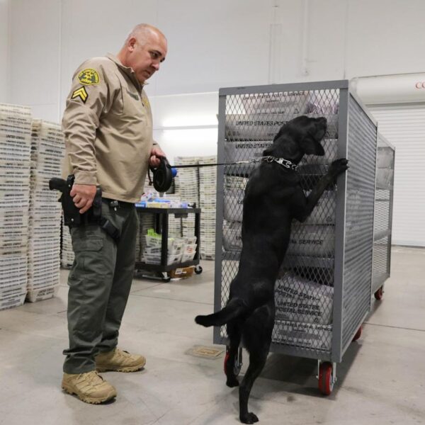 Big changes to the agency charged with securing&hellip;