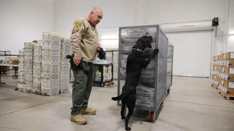 Big changes to the agency charged with securing elections lead to midterm worries