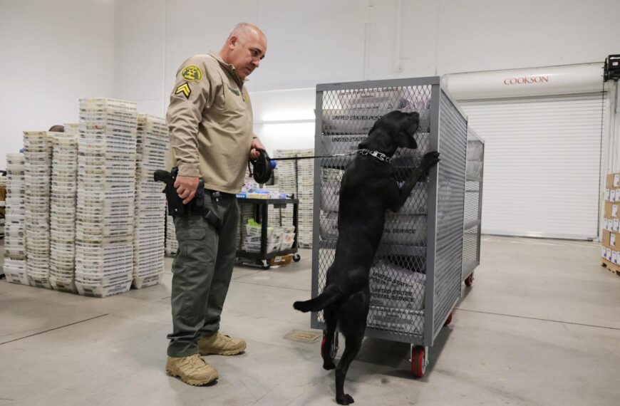 Big changes to the agency charged with securing&hellip;