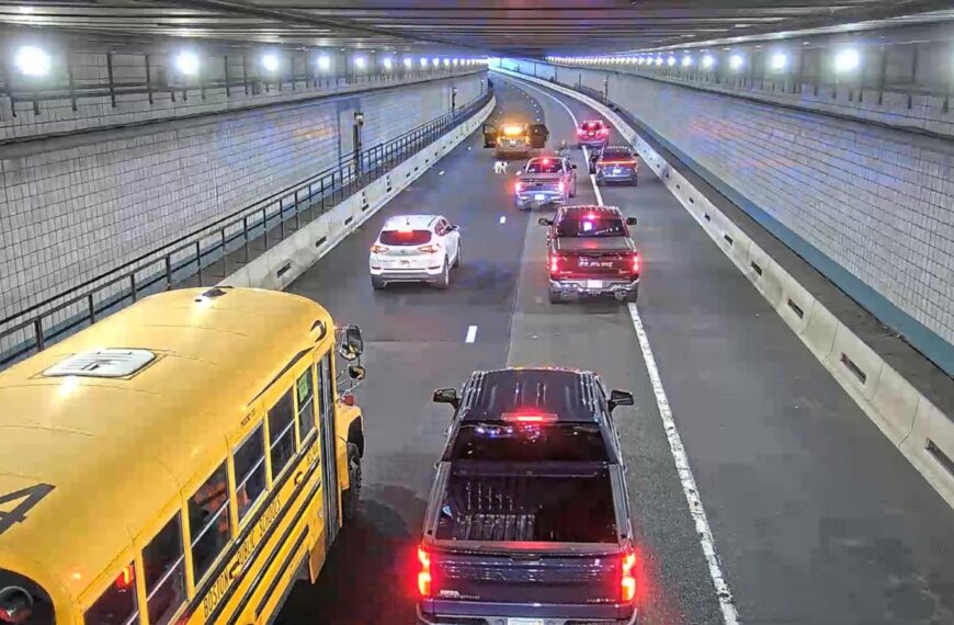 Wrong-way rover: Dog rescued from a busy Boston tunnel during rush hour
